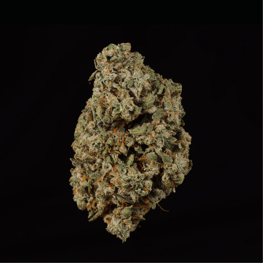 Black Valentine THCA Flower - Image 3