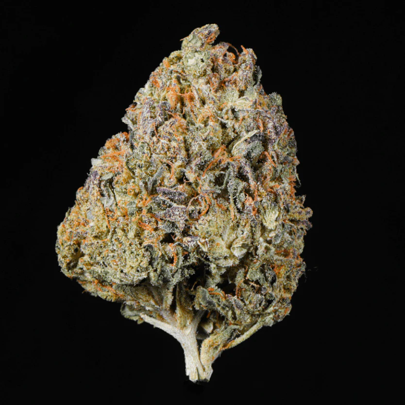 Permanent Marker THCA Flower - Image 3