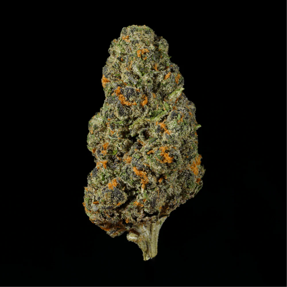 Permanent Marker THCA Flower - Image 4