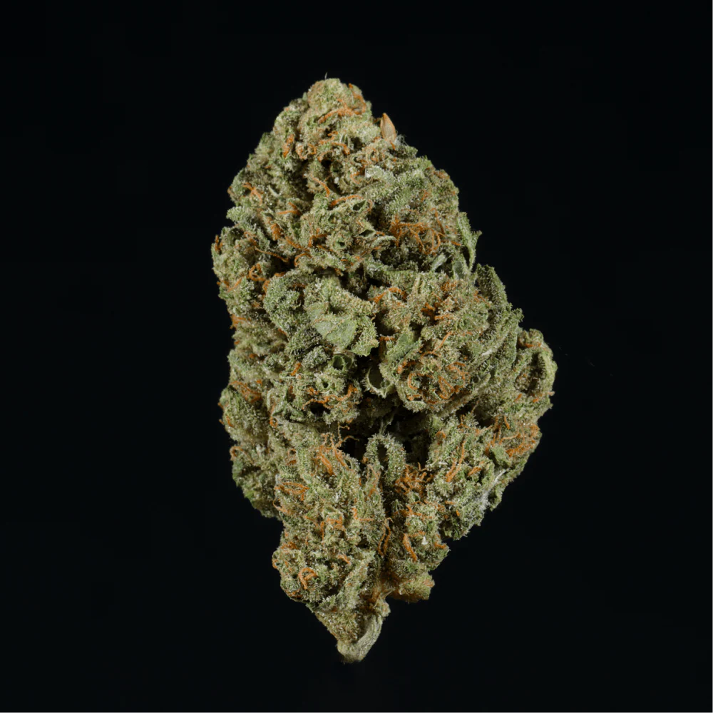 Pink Rosay THCA Flower - Image 3